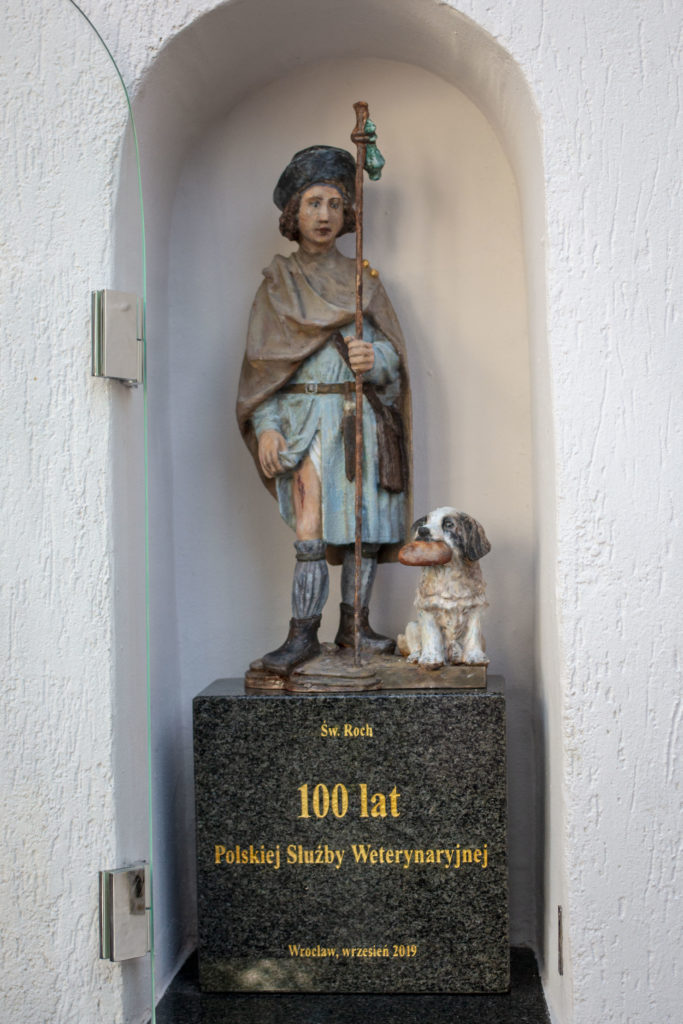 św. Roch - patron polskich lekarzy weterynarii 100 lat inspekcja weterynaryjna służba